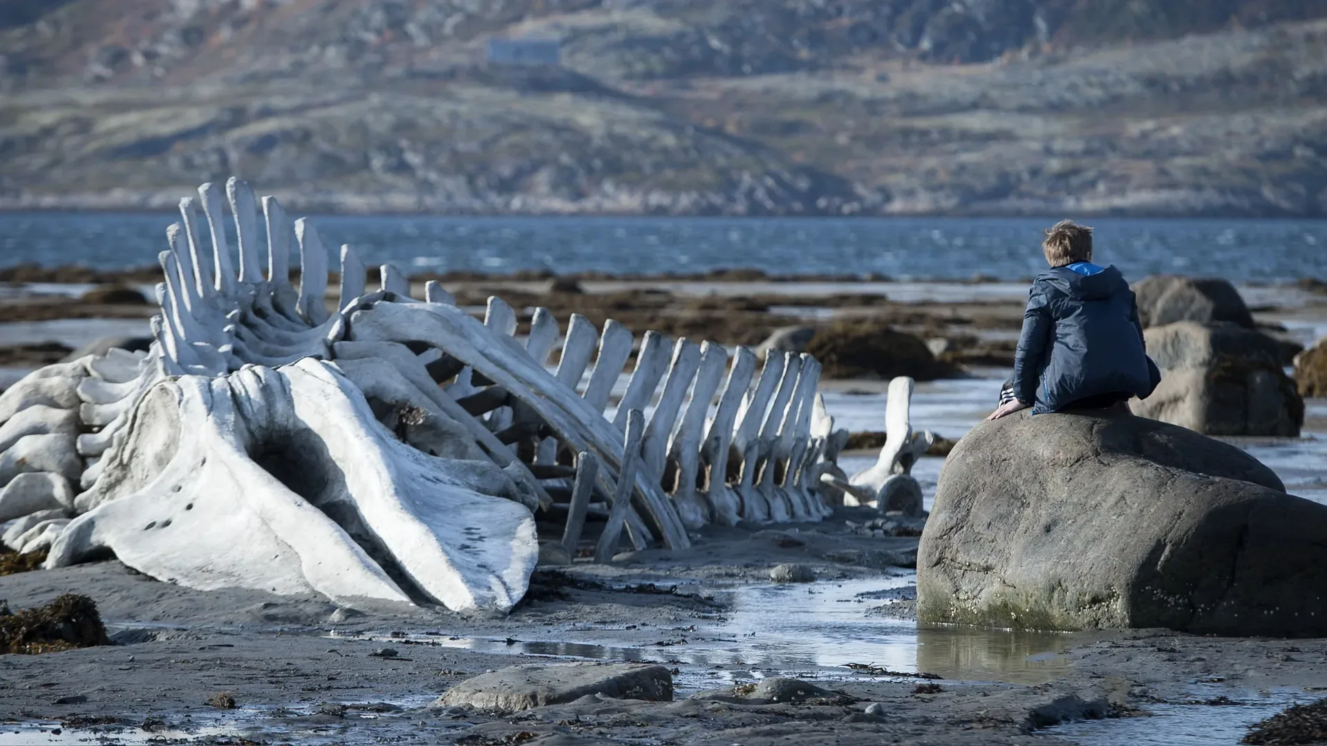 Leviathan, still 1